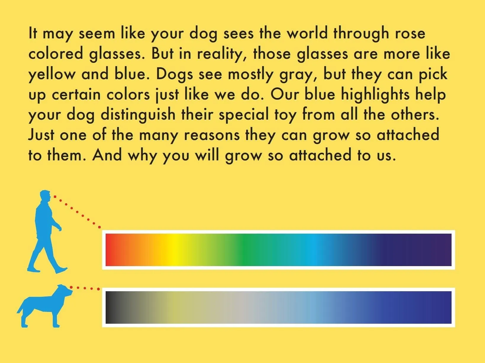 Attachment Theory Let's Pawty! Bandana for Dogs
