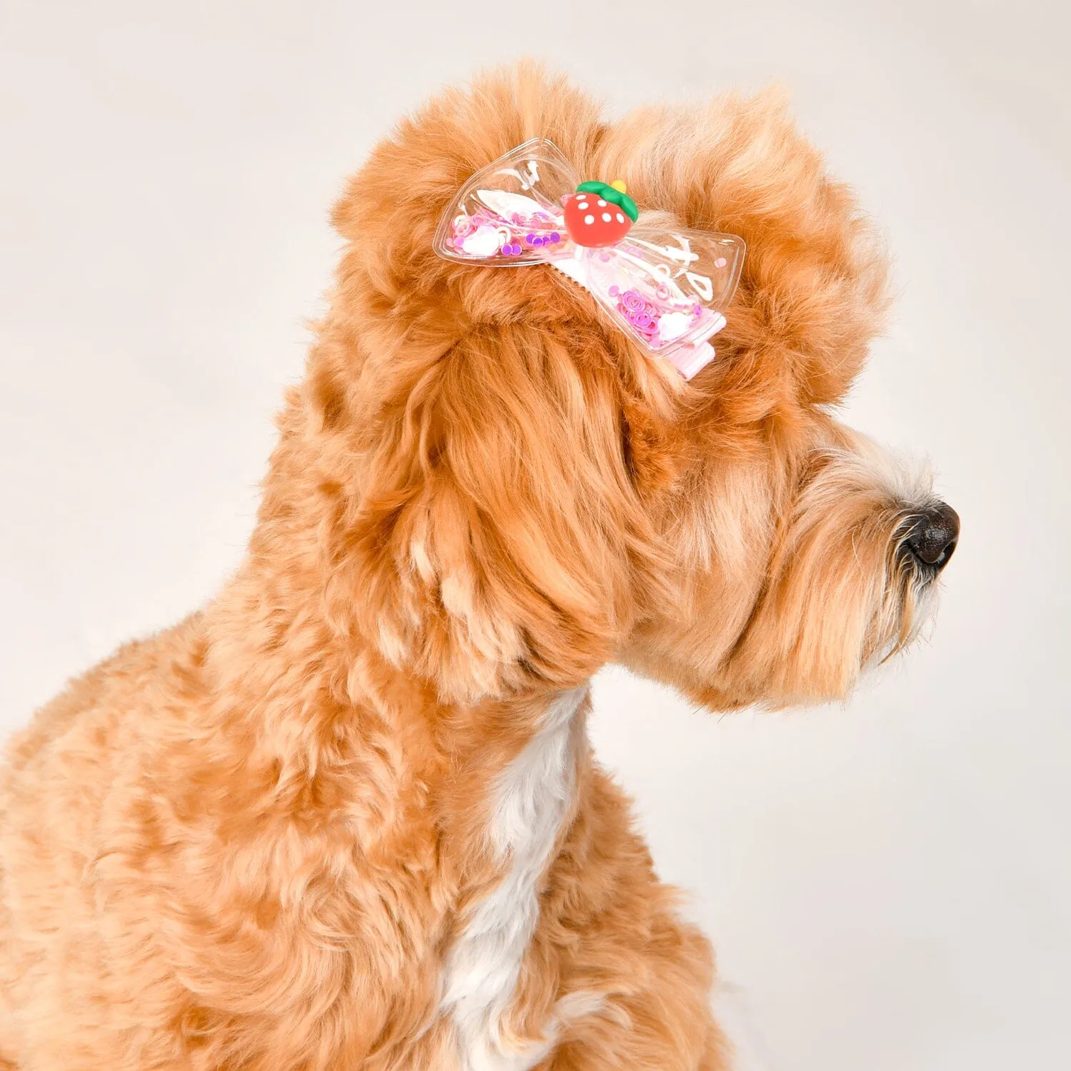 Fruit Pop Hair Clip For Dogs