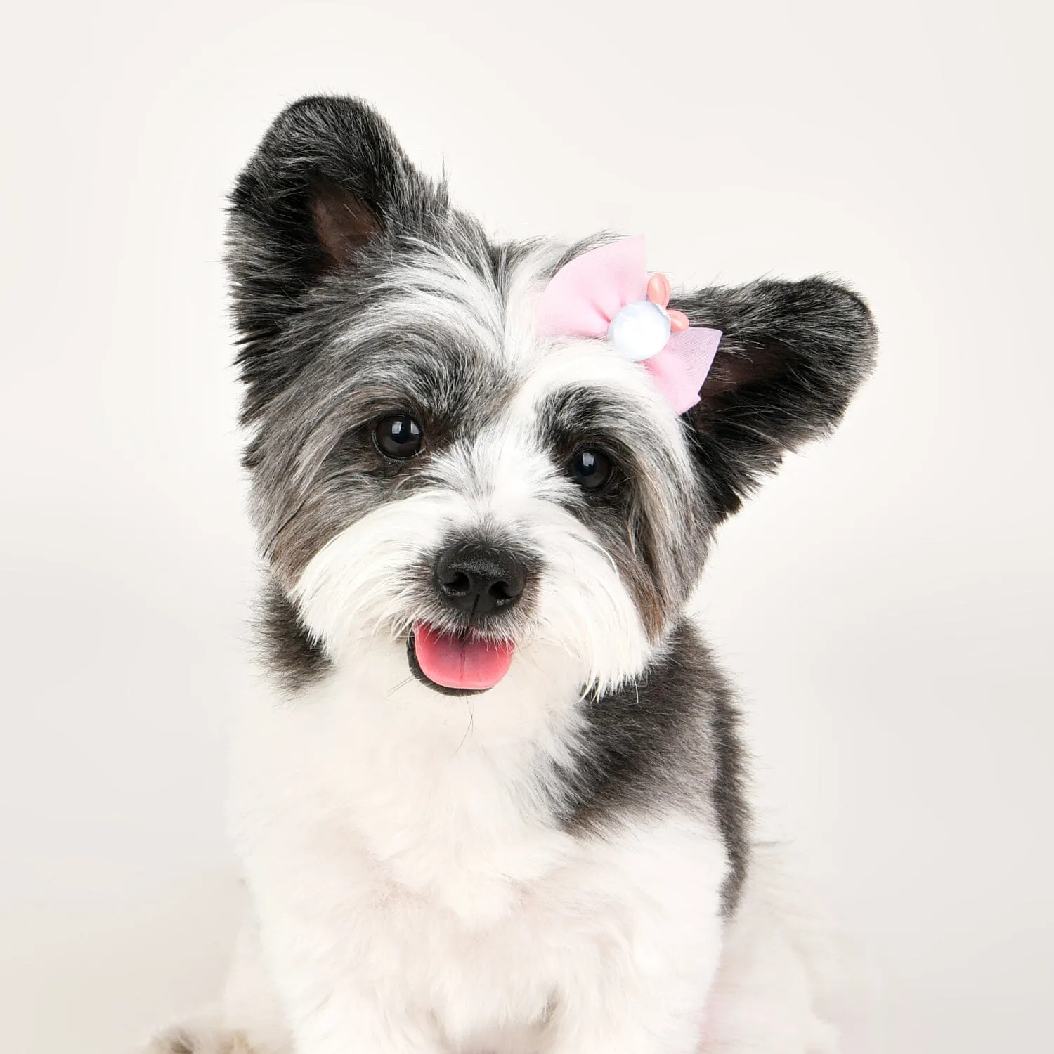 Hair Clip For Dogs